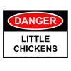 danger: little chickens